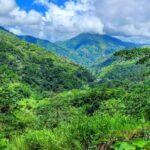 Rio Grande Bamboo Rafting Tour from Port Antonio - Practical Information and FAQs