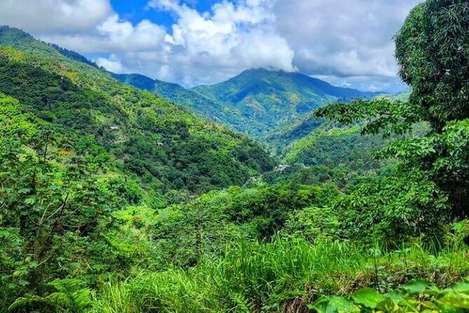 Rio Grande Bamboo Rafting Tour from Port Antonio - Practical Information and FAQs