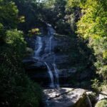 Rio: Jeep Tour with Corcovado, Tijuca Forest and Sta Teresa - Practical Details and What to Expect