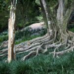 Rio: Sitio Burle Marx and Cachaça Distillery Private Tour - FAQ