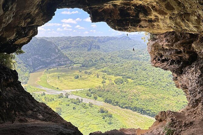 Rio Tanama City Tour with Car Transportation - Final Thoughts: Is It Worth It?