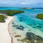 Riu Bambu - Round Trip Shuttle - Punta Cana Airport - The Sum Up