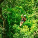 River tubing and horseback riding - A Detailed Look at the Experience