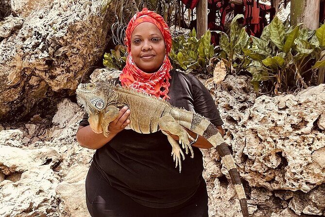 Road Off Buggy Adventure Drive, Swim & Taste Dominican Culture - Who Should Consider This Tour?