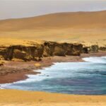 Roaring through the Reserve: Minibuggy Adventure in Paracas - The Minibuggy Experience: Combining Fun and Safety