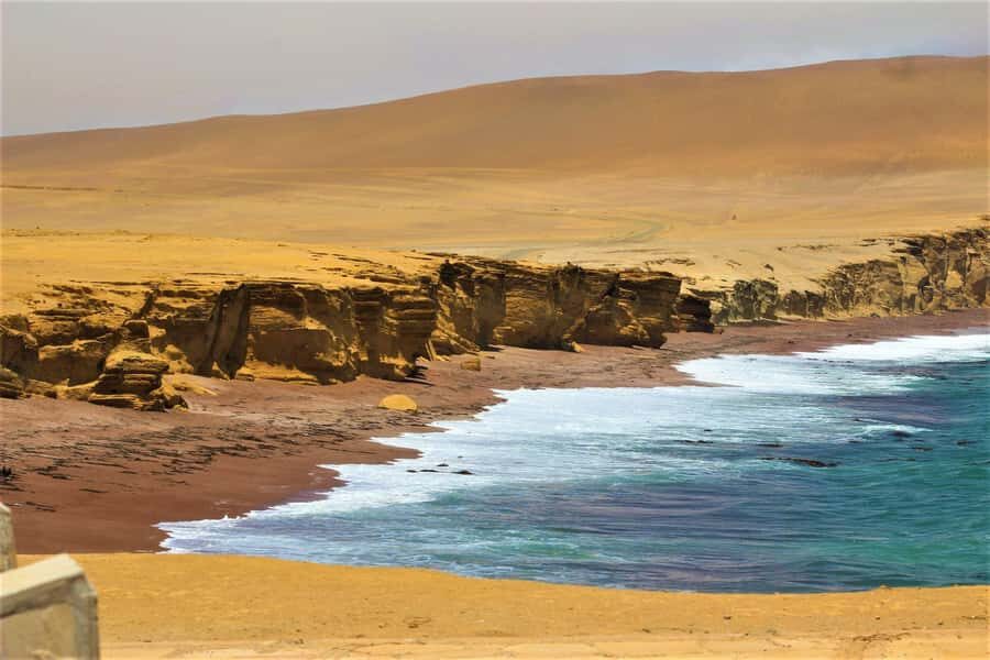 Roaring through the Reserve: Minibuggy Adventure in Paracas - The Minibuggy Experience: Combining Fun and Safety