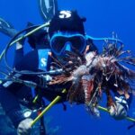 Roatan 2 Dive Scuba Adventure for Certified Divers - Exploring the Roatan 2 Dive Scuba Adventure