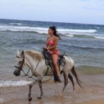 Roatan ATV Adventure, Wildlife Eco-Park and Horseback - The Practical Side: Logistics and Value
