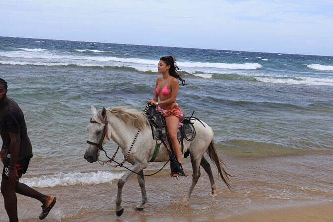Roatan ATV Adventure, Wildlife Eco-Park and Horseback - The Practical Side: Logistics and Value