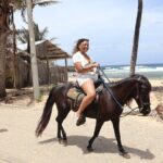 Roatan Combo Horseback Ride with Zip Line Wildlife and Snorkel - The Sum Up