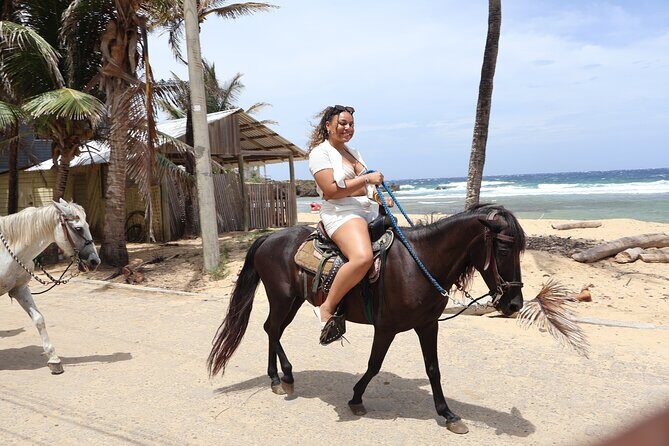 Roatan Combo Horseback Ride with Zip Line Wildlife and Snorkel - The Sum Up