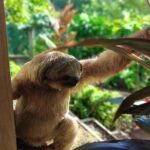 Roatan Day Combo - The Sum Up: The Best of Roatan in a Nutshell