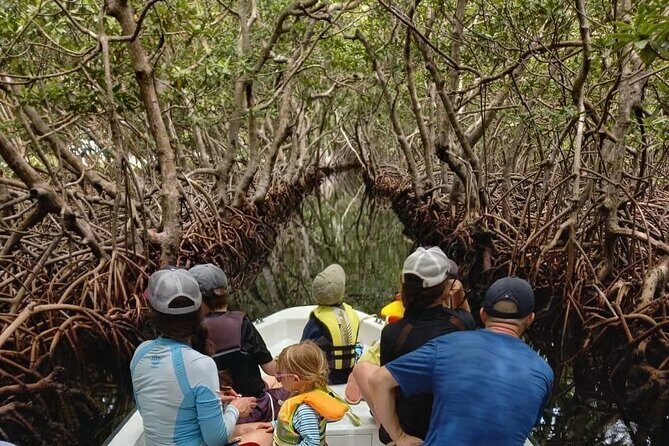 Roatan East Side Mangrove Tunnels and Snorkel Adventure - Exploring Roatan’s East Side: A Closer Look