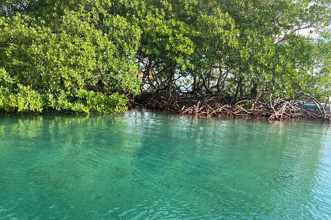 Roatan Eastern Odyssey Mangroves Tunnel , ATV and Beach - Frequently Asked Questions (FAQs)