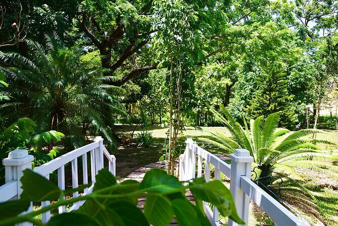 Roatan Eco Caribbean Culture Park and Beach - Transportation, Group Size, and Practicalities