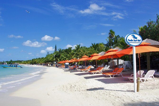 Roatan Excursion: Horseback Ride / Plus Sloth Park and Beach Break - FAQ