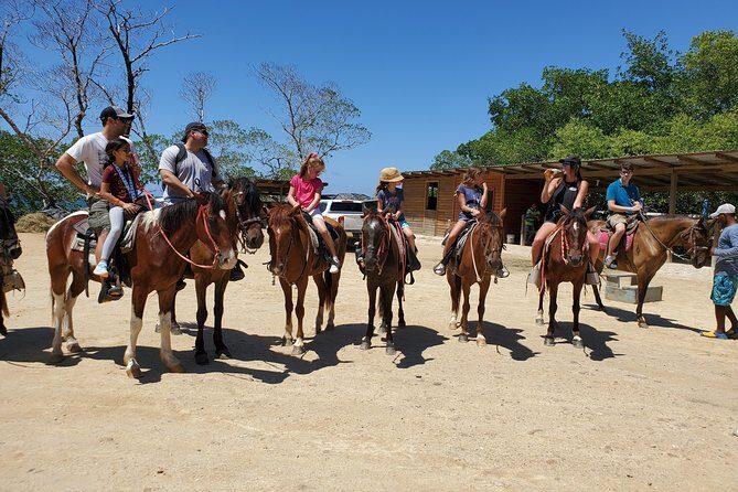 Roatan Excursion: Horseback Ride / Plus Sloth Park and Glass Bottom Boat - What the Reviews Say