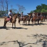 Roatan Excursion: Horseback Ride / Sloths park / Snorkel With Beach Break - FAQ