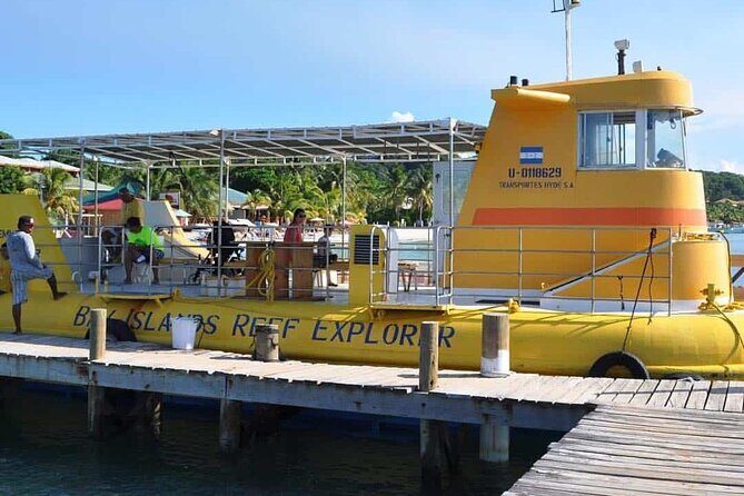 Roatan Glass Bottom Boat Tour, Wildlife Chocolate & Rum Tasting - What Makes This Tour Stand Out?