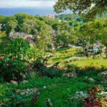 Roatan: Golf day at The Black Iguana - Who Should Consider This Tour?