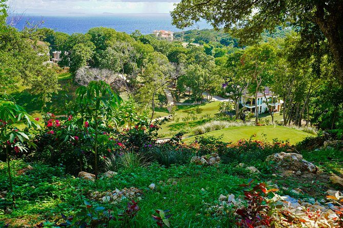 Roatan: Golf day at The Black Iguana - Who Should Consider This Tour?