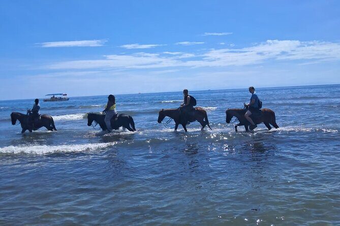 Roatan Half-day Combo 4 in One - Who Would Enjoy This Tour?