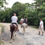 Roatan Horseback Riding and private beach daypass at bredy's key - An In-Depth Look at the Roatan Horseback Riding and Beach Tour
