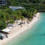 Roatan Local Island Tour, Seeing Animals and Beach Break - Who Should Book This Tour?