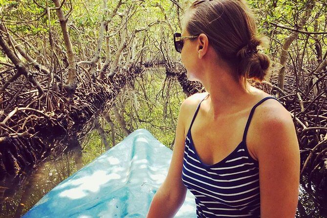 Roatan Mangrove Tunnels Adventure - The Practicalities: Transportation, Pricing, and Guides