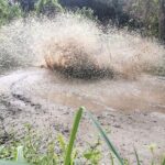 Roatan Muddy Jungle Buggy Tour Off Road Adventure - The Itinerary in Detail