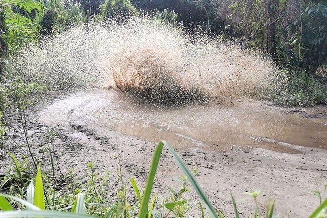 Roatan Muddy Jungle Buggy Tour Off Road Adventure - The Itinerary in Detail