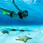 Roatan North Side Mangroves, Starfish, Shipwreck Snorkeling & Transportation - Authentic Experiences and Tips