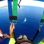 Roatan Parasailing, Reef Snorkel & Beach Combo - Exploring the Roatan Parasailing, Reef Snorkel & Beach Combo