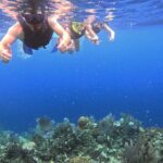 Roatan Reef Snorkel Adventure - An in-Depth Look at the Roatan Reef Snorkel Adventure