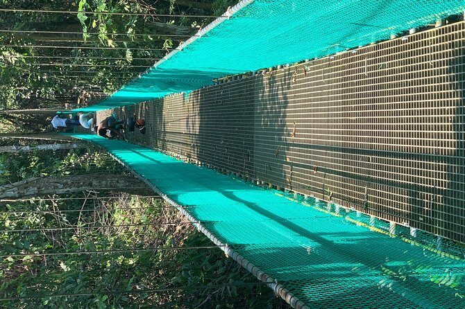 Roatan Shore Excursion: Hanging Bridges Eco Tour and Beach Break - Exploring Roatan’s Hanging Bridges and Beach Break in Detail