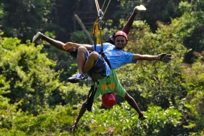 Roatan Shore Excursion: Zip 'n' Dip Canopy Tour - Who Should Book This Tour?