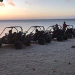 Roatan Sunset Dune Buggy Tour Wildlife Eco Park Adventure - What’s Included and What’s Not