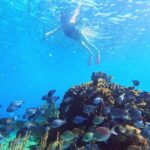Roatan Zipline And Snorkel Adventure - Final Thought
