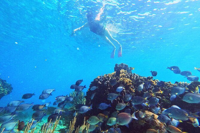 Roatan Zipline And Snorkel Adventure - Final Thought