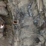 Rock Climbing Half Day - Who Should Consider This Tour?