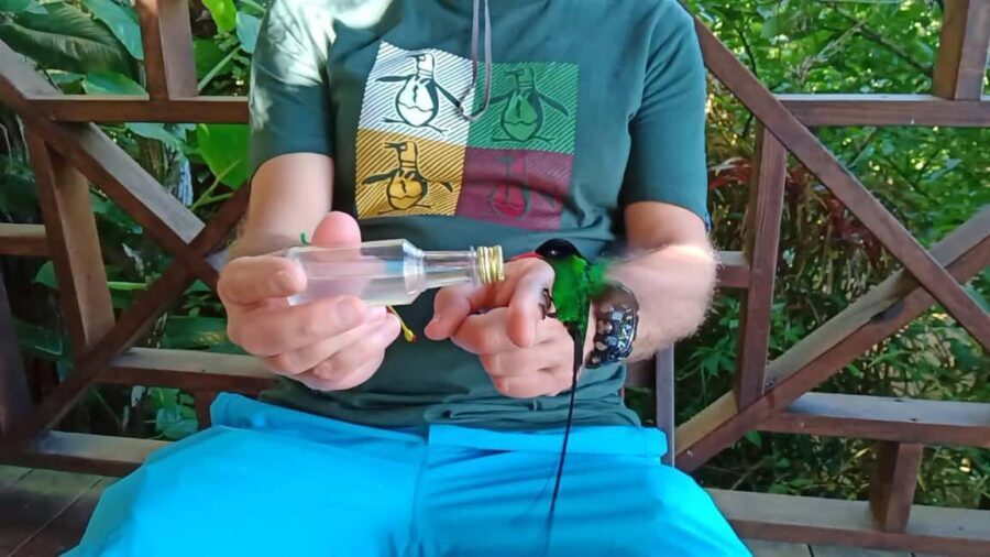 Rockland Bird Sanctuary and Shopping with Transportation - Transportation and Logistics: Making it Easy