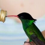 Rockland Bird Sanctuary Private Tour - Final Thoughts