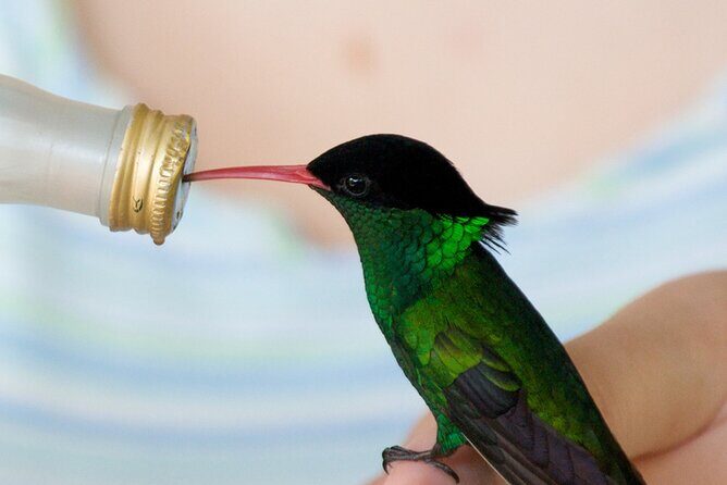 Rockland Bird Sanctuary Private Tour - Final Thoughts