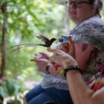 Rocklands Bird Sanctuary & City Highlights plus Shopping from Montego Bay - A Deep Dive into the Experience