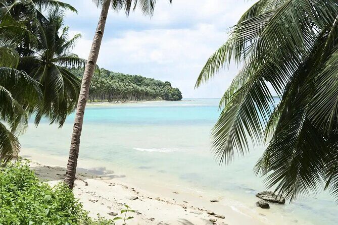 Romantic Nassau: Scenic Tour with Ocean Views & Hidden Gems - Practical Details and What to Expect