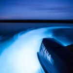 Rose Hall Great House and Luminous Lagoon Night [Transportation only ] - An In-Depth Look at the Tour Experience