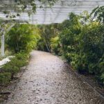 Rose Hall Great House and Montego Bay Tour - Final Thoughts