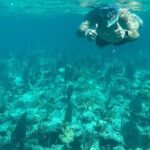 Rose Island Adventure: Turtle Swim and Snorkel - Who Is This Tour Best For?