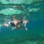 Rose Island Adventure: Turtle, Swim and Snorkel - Who Will Love This Tour?