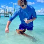 Rose Island: Snorkeling, Swimming Pigs & Unlimited Rum Punch - The Experience in Detail: What Sets It Apart